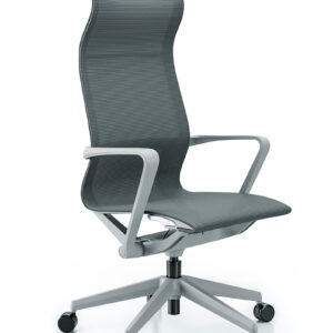 Cadeira Presidente Aura 44101 Tela – autorregulável – base nylon cinza